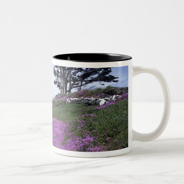 CA, Crescent City, Battery Point lighthouse with Two-Tone Coffee Mug (Right)