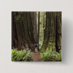 CA, Jedediah Smith Redwoods State Park, 15 Cm Square Badge