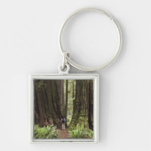 CA, Jedediah Smith Redwoods State Park, Key Ring