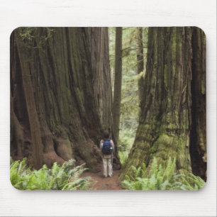CA, Jedediah Smith Redwoods State Park, Mouse Mat