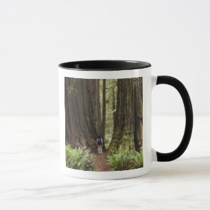 CA, Jedediah Smith Redwoods State Park, Mug