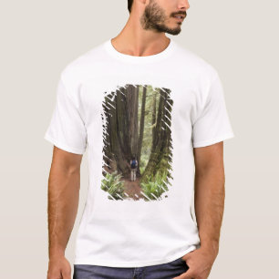 CA, Jedediah Smith Redwoods State Park, T-Shirt