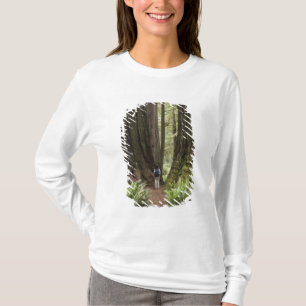 CA, Jedediah Smith Redwoods State Park, T-Shirt