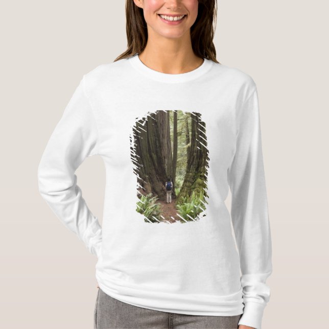 CA, Jedediah Smith Redwoods State Park, T-Shirt (Front)