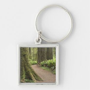 CA, Jedediah Smith State Park, Simpson-Reed Key Ring