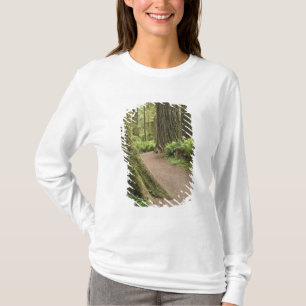 CA, Jedediah Smith State Park, Simpson-Reed T-Shirt