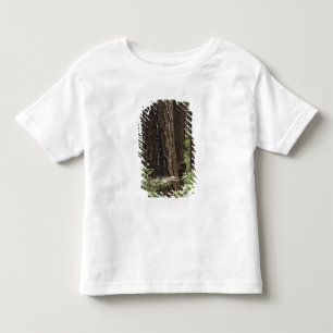 CA, Prairie Creek State Park, Coast Toddler T-Shirt