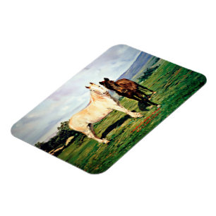 Caballos/Cabalos/Horses Magnet