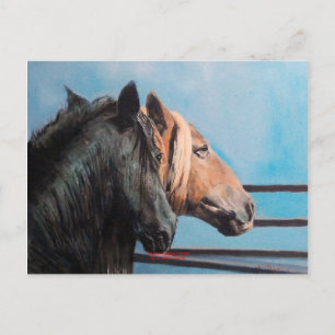 Caballos/Cabalos/Horses Postcard
