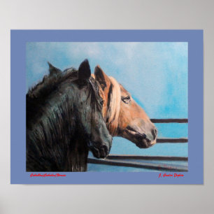 Caballos/Cabalos/Horses Poster