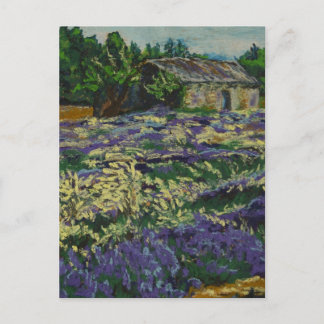 Cabanon dans la lavande postcard