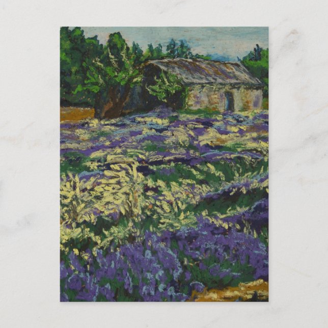 Cabanon dans la lavande postcard (Front)