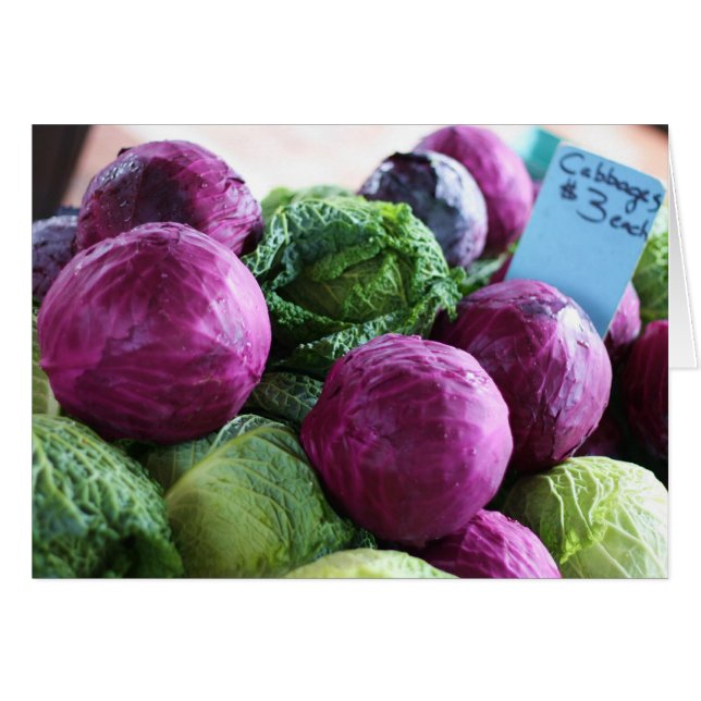 cabbage (Front Horizontal)