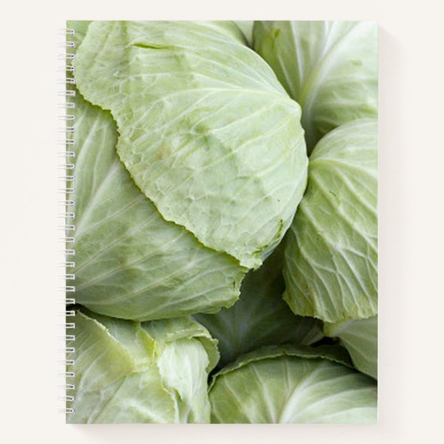 cabbage3 notebook (Front)
