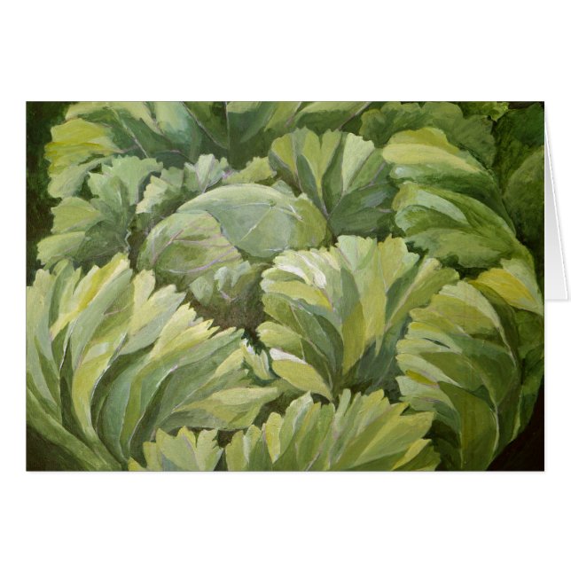 Cabbage 2013 (Front Horizontal)