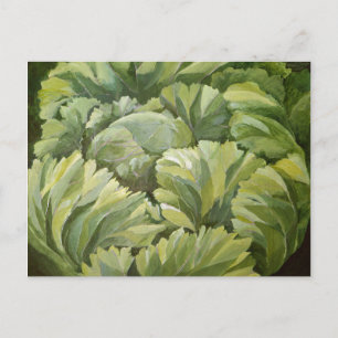 Cabbage 2013 postcard