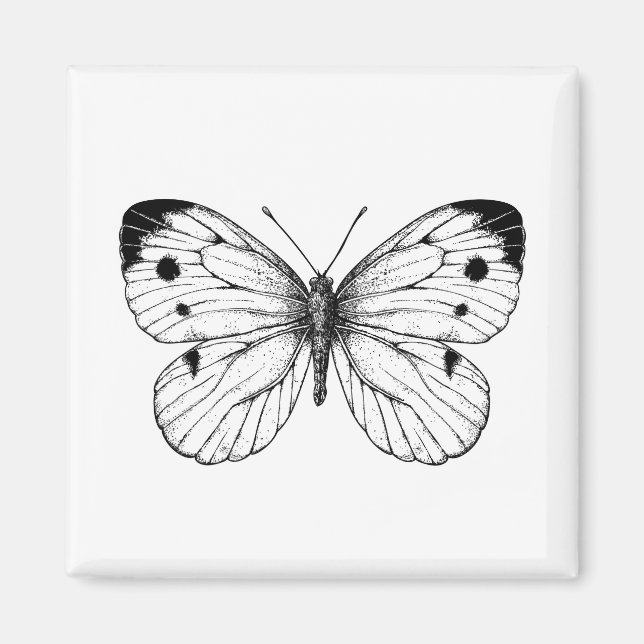 Cabbage butterfly magnet (Front)