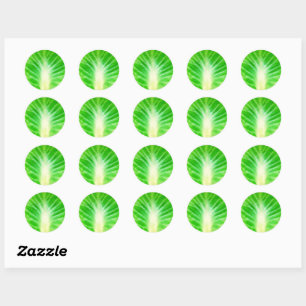 Cabbage Leaf Classic Round Sticker