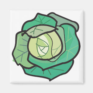 cabbage magnet