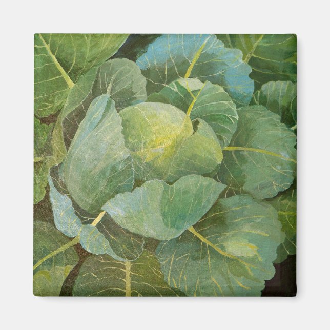 Cabbage Magnet (Front)