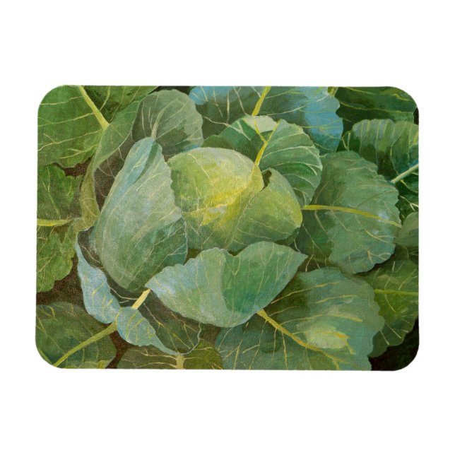 Cabbage Magnet (Horizontal)
