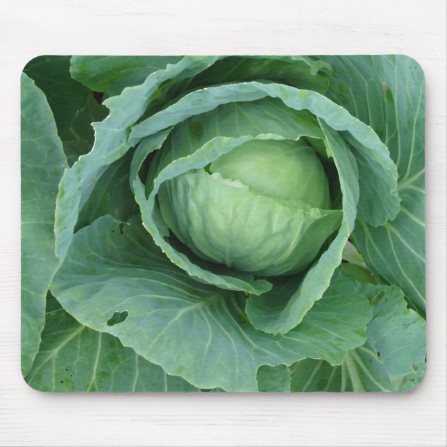Cabbage Mouse Mat (Front)