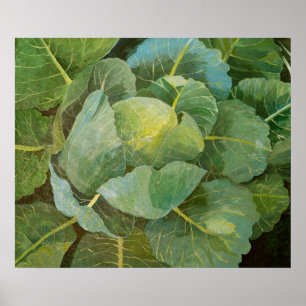 Cabbage Poster