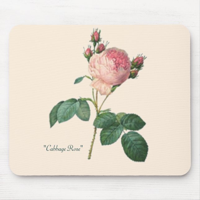 Cabbage Rose Botanical Print Mouse Mat (Front)