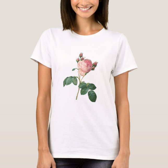 Cabbage Rose Botanical Single Stem Floral T-Shirt (Front)