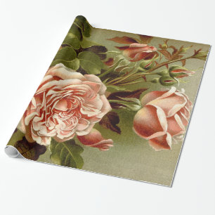 Cabbage Rose Flowers Wrapping Paper