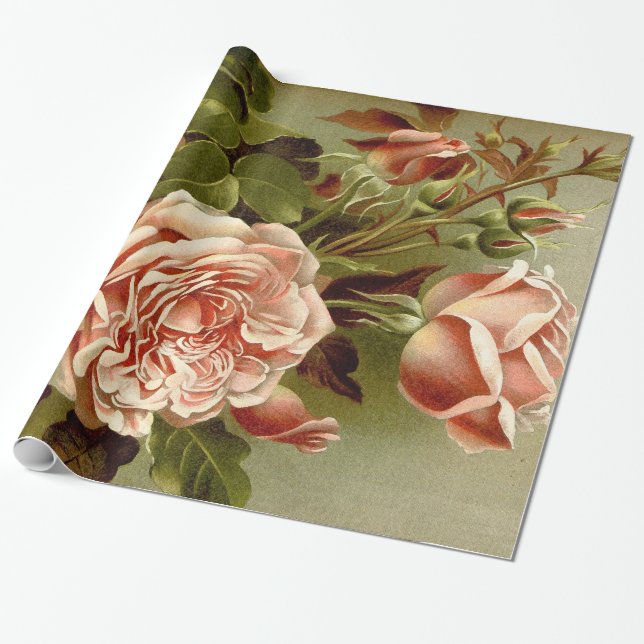 Cabbage Rose Flowers Wrapping Paper (Unrolled)