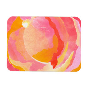 Cabbage Rose III Magnet