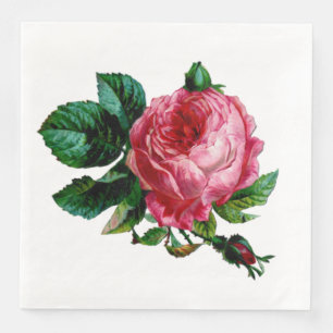 Cabbage Rose Paper Napkins