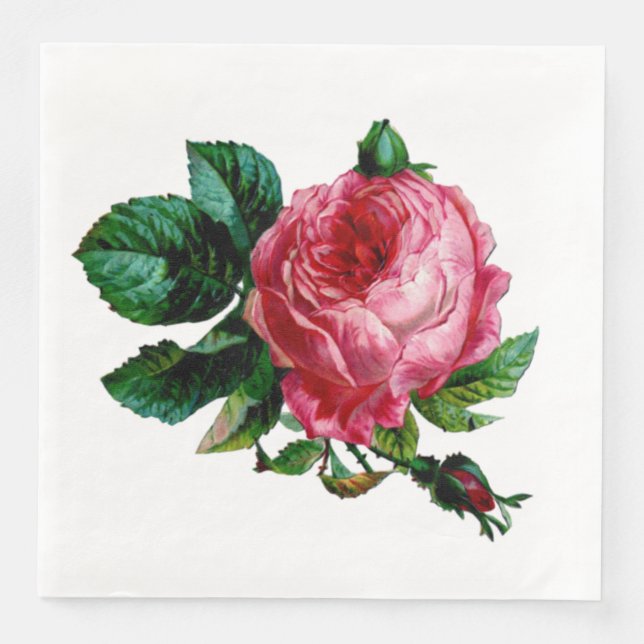 Cabbage Rose Paper Napkins (Front)