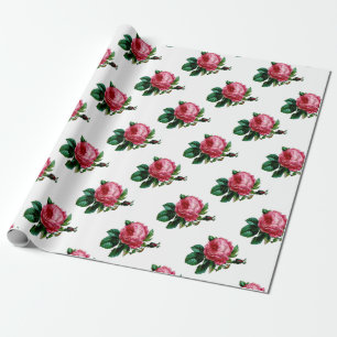 Cabbage Rose Wrapping Paper
