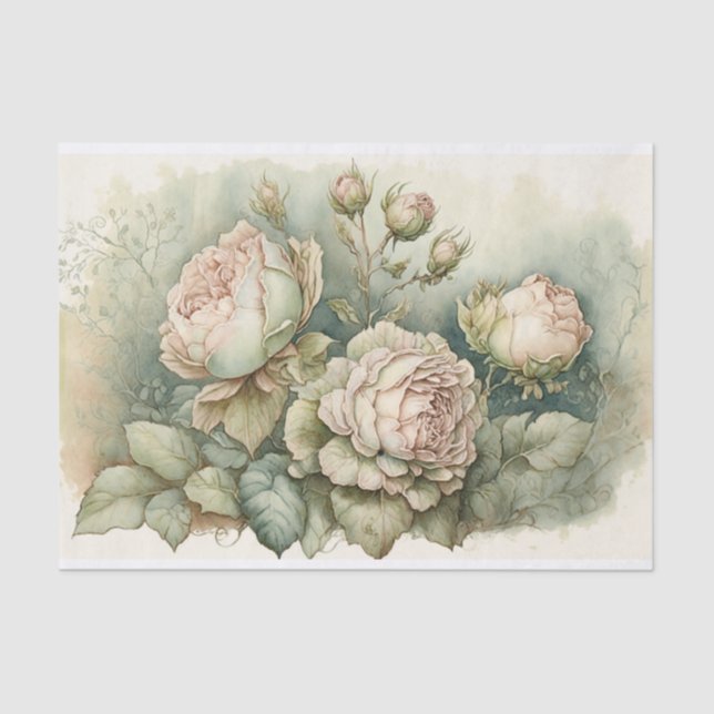 Cabbage Roses with Green highlights  Tissue Paper (Front)