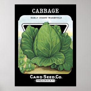 Cabbage Seed Packet Label Poster