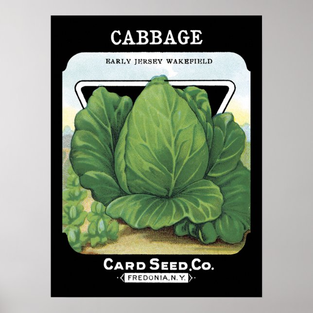 Cabbage Seed Packet Label Poster (Front)