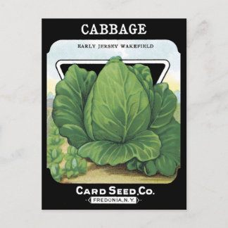 Cabbage Vintage Seed Packet Vegetable Leafy Green Postcard