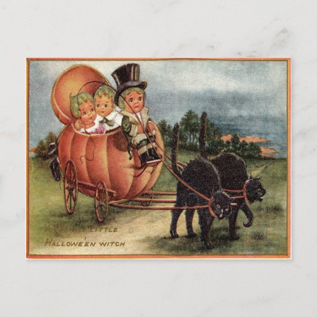 Cabbagehead Pumpkin Carriage Black Cat Postcard (Front)