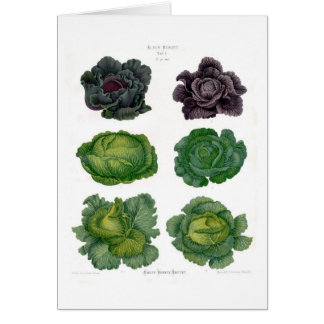 Cabbages