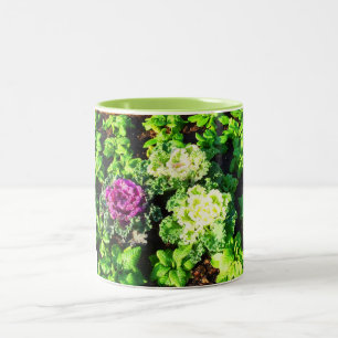 Cabbages and primulas Two-Tone coffee mug