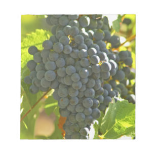 Cabernet Sauvignon grape bunch in the Chateau Notepad