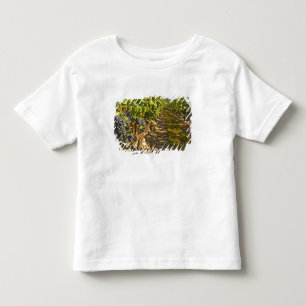 Cabernet Sauvignon vines in a row in the Toddler T-Shirt