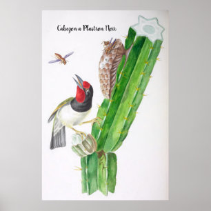 Cabezon a Plastron Noir -  Birds of Brazi Poster