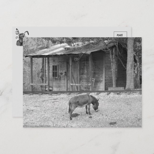 Cabin and Donkey in B&W Postcard (Front/Back)