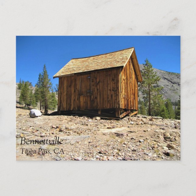 Cabin at Bennettville, Tioga Pass, California Postcard (Front)