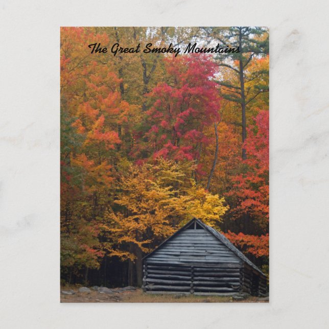 Cabin in the Woods Postcard (Front)