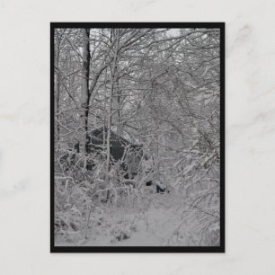 Cabin in the Woods Postcard