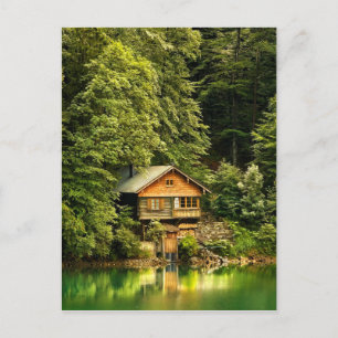 Cabin Lake House Postcard